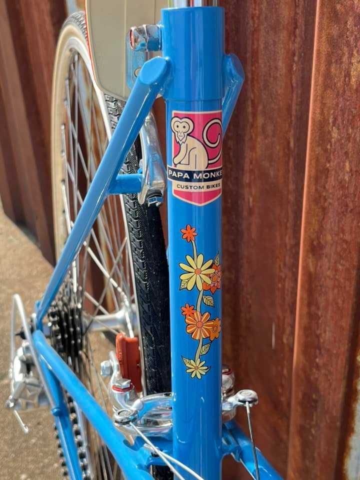 Early 80’s Raleigh Grand Prix Mixte-6